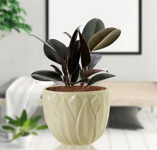 Leaf pot round