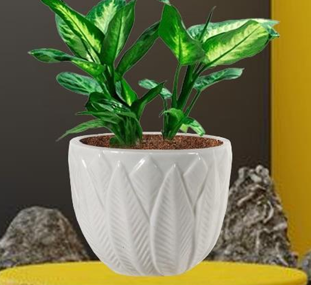 Leaf pot round