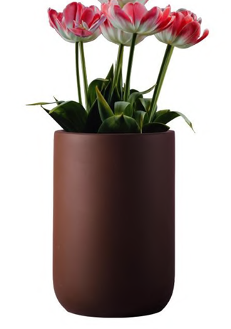 Rectangular curve