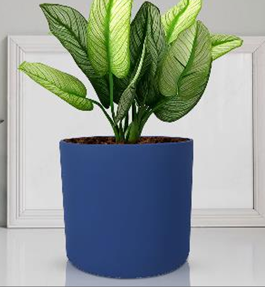 4 inch pot