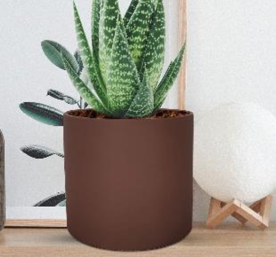 4 inch pot