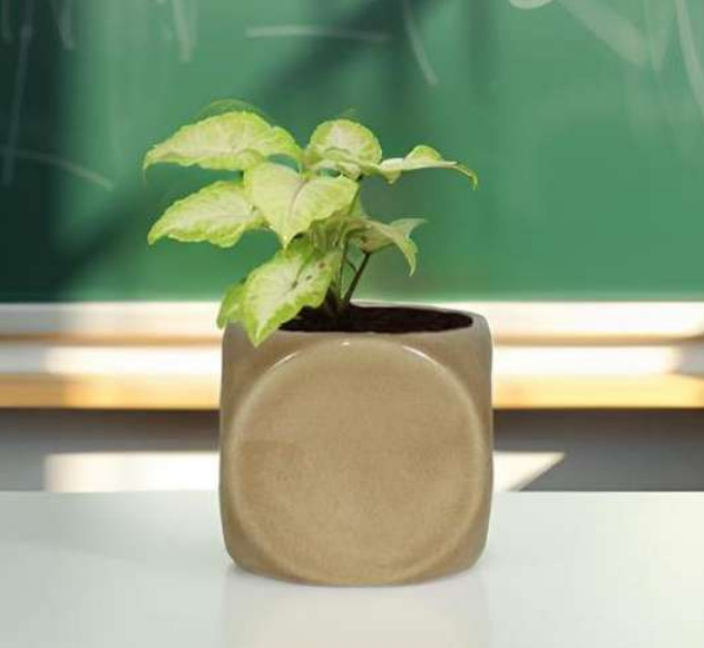 3.5 inch Glossy pot