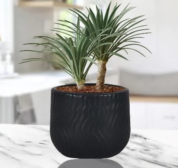 Small pot