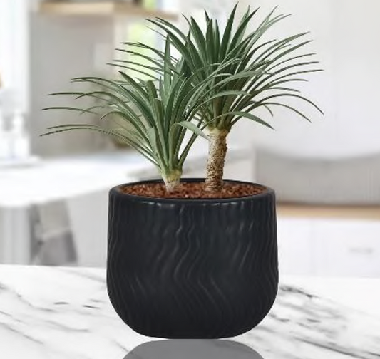 Small pot