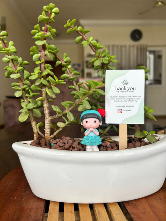 Tiny Forest Dreams