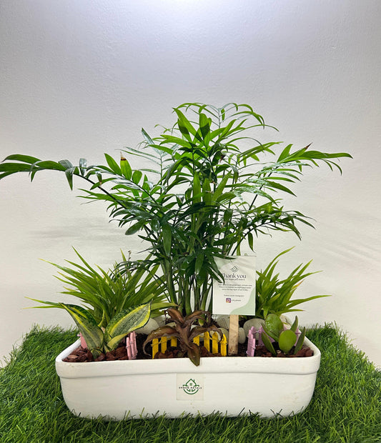 Harmony Greens