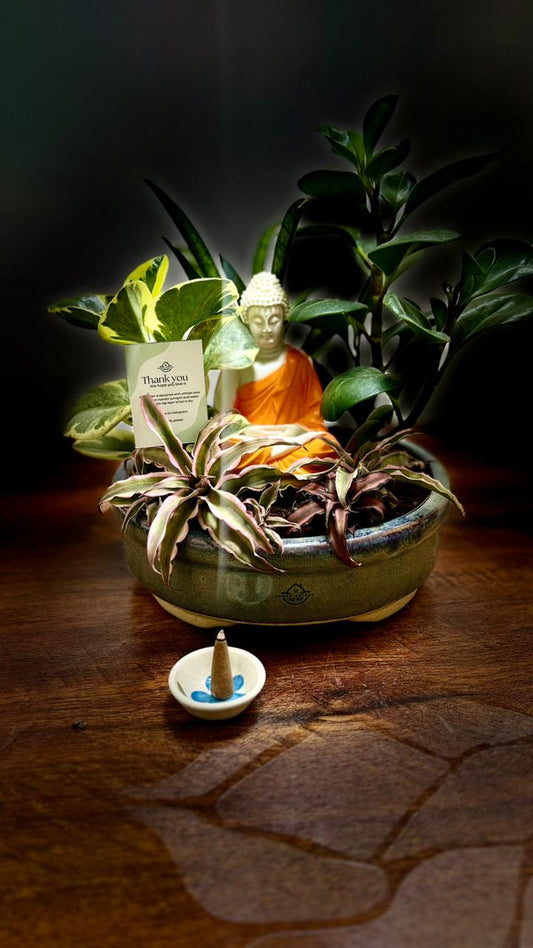 Serene Planter