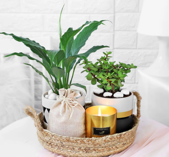 Hampers