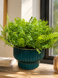 Fern Bun