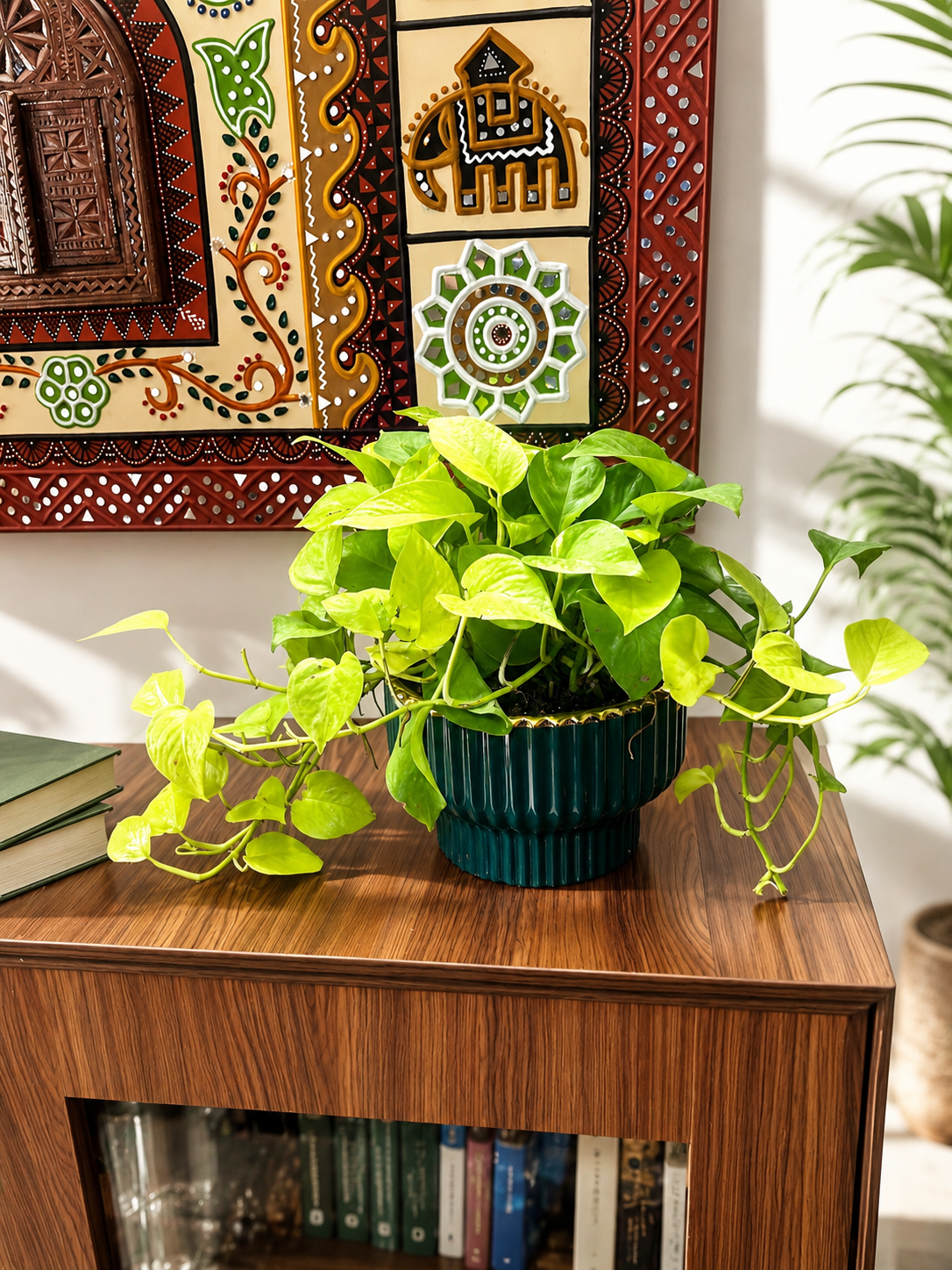 Showstealer pothos