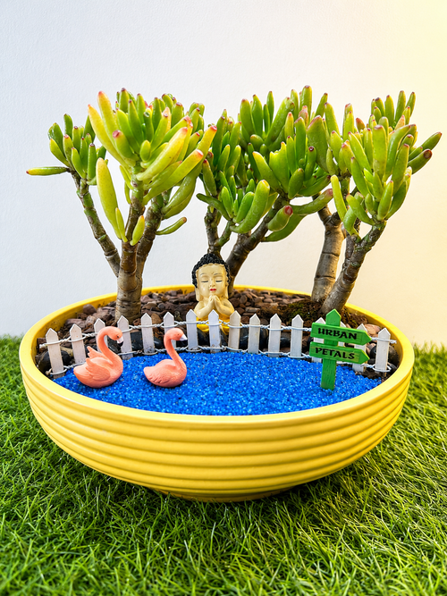 Buddha by the Bay