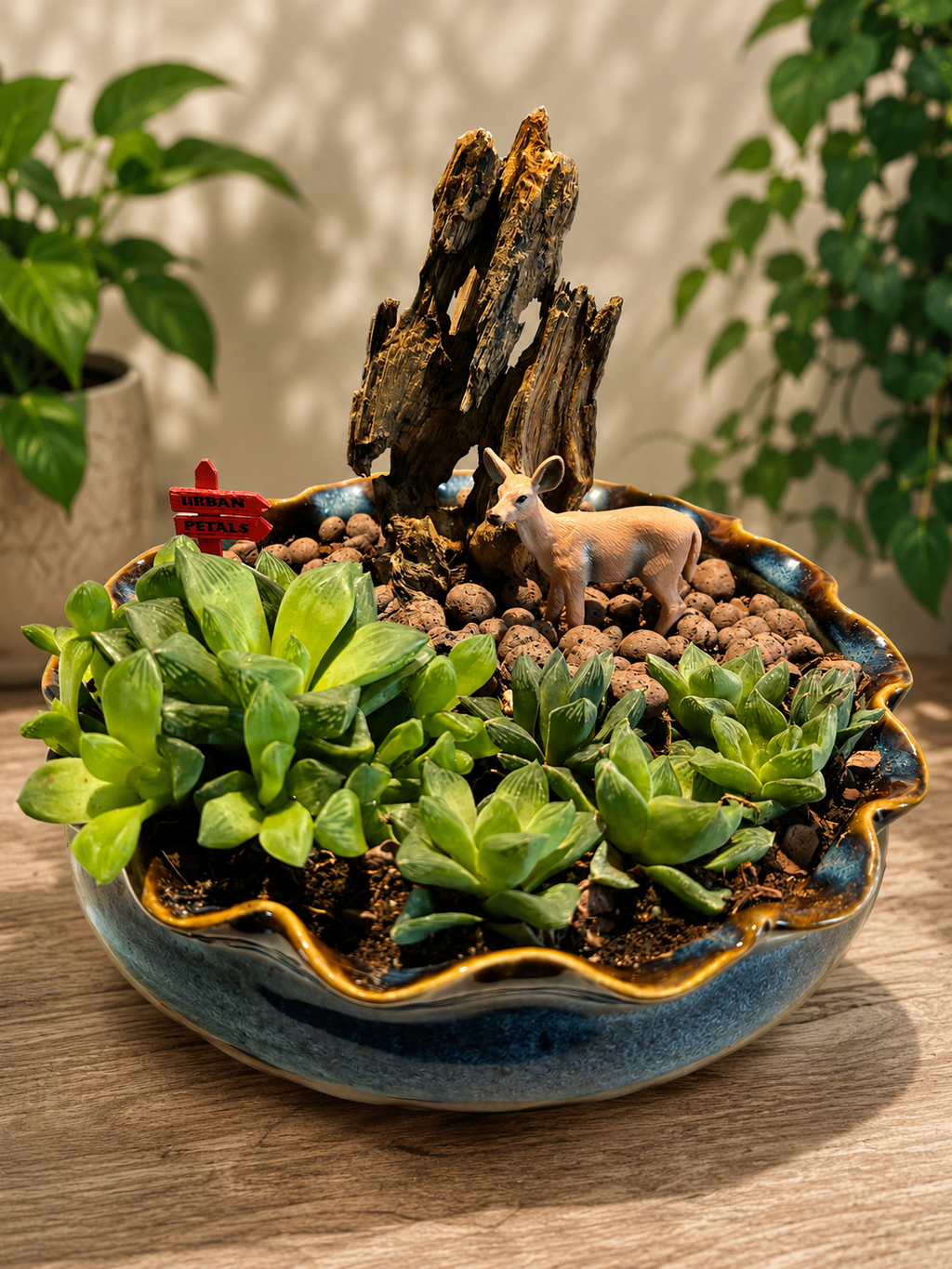 Woodland Succulent Bowl