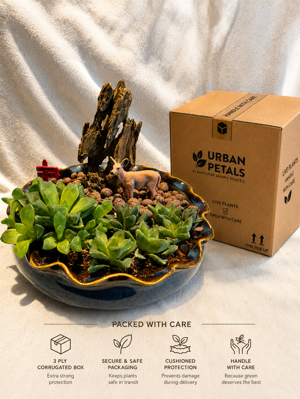 Woodland Succulent Bowl