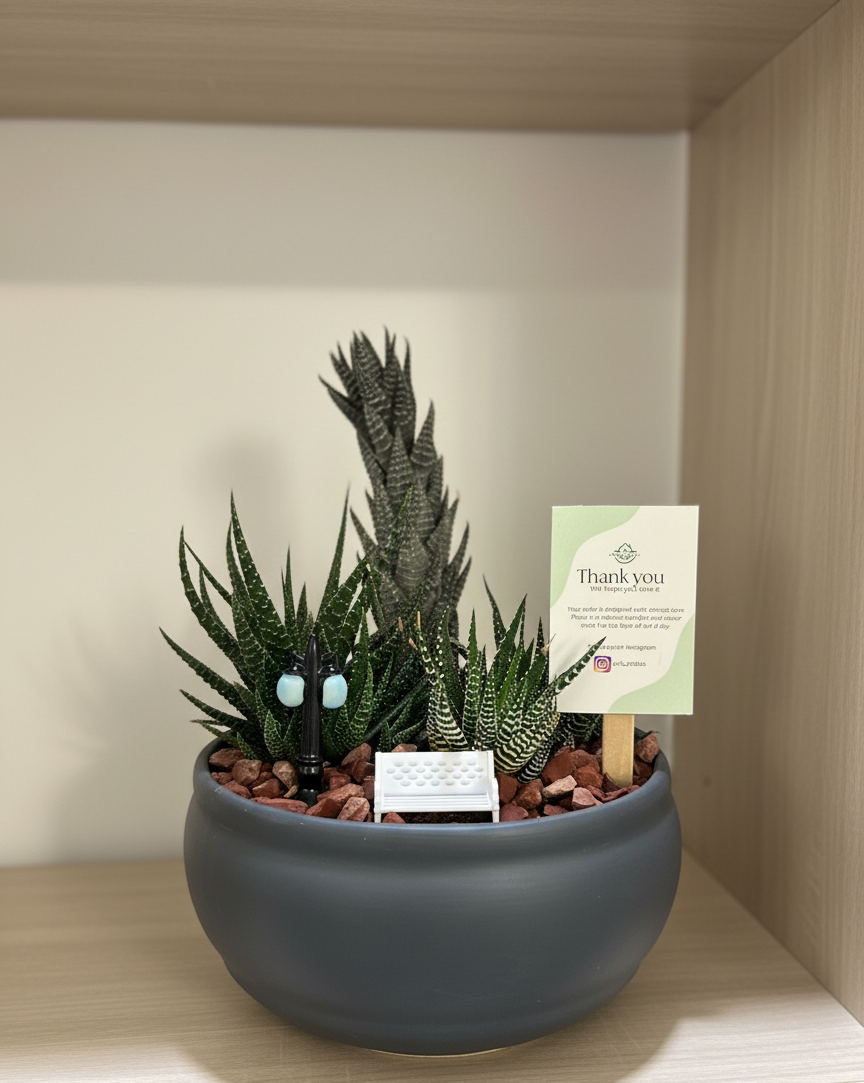 Succulent Dish Garden