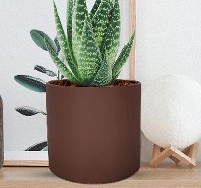 4 inch pot