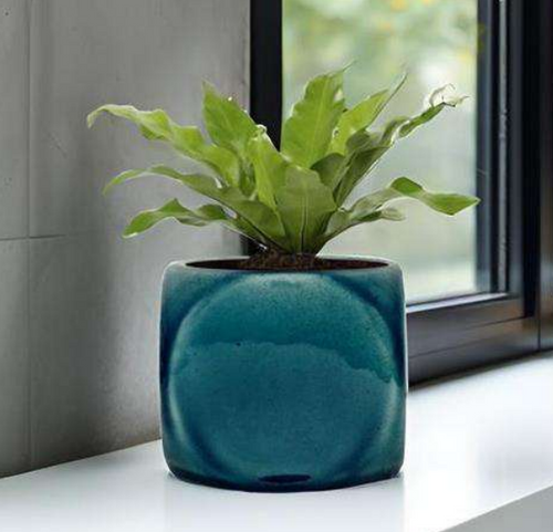 3.5 inch Glossy pot