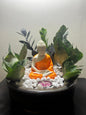 Zen Glow Sanctuary