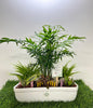 Harmony Greens