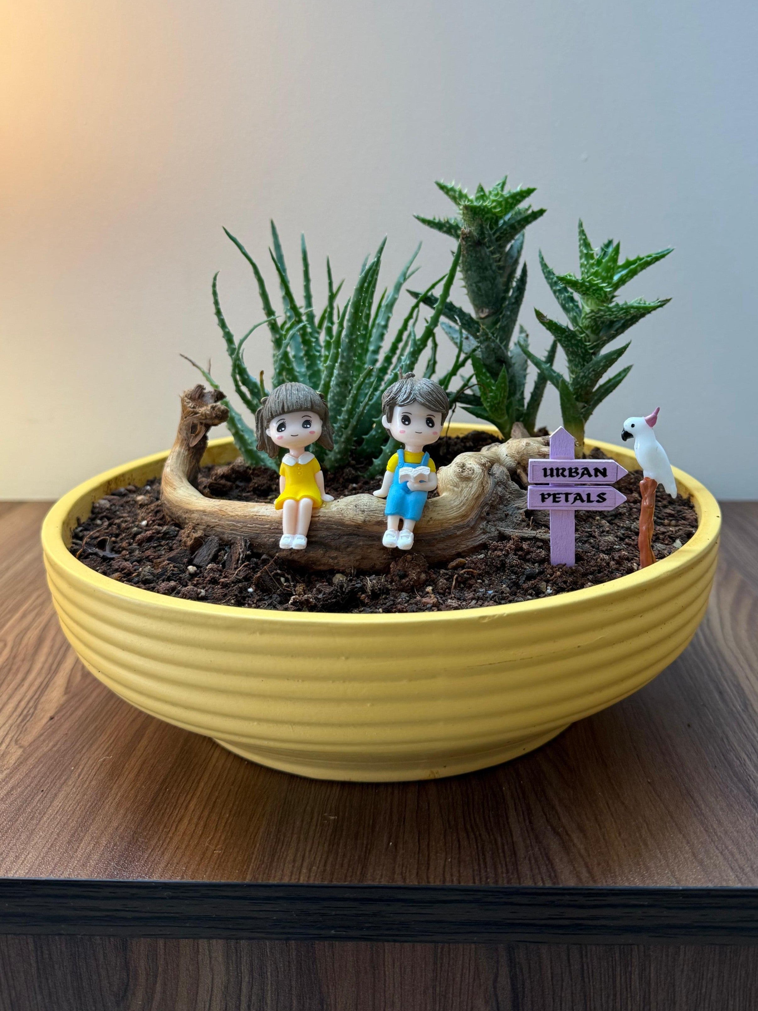 Whimsical Succulent Garden