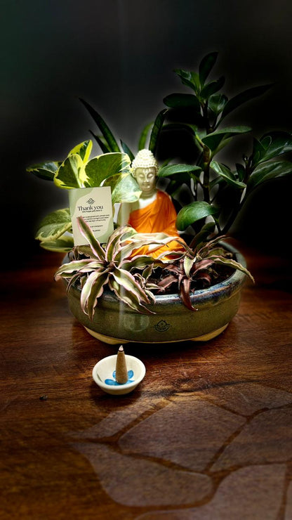 Serene Planter