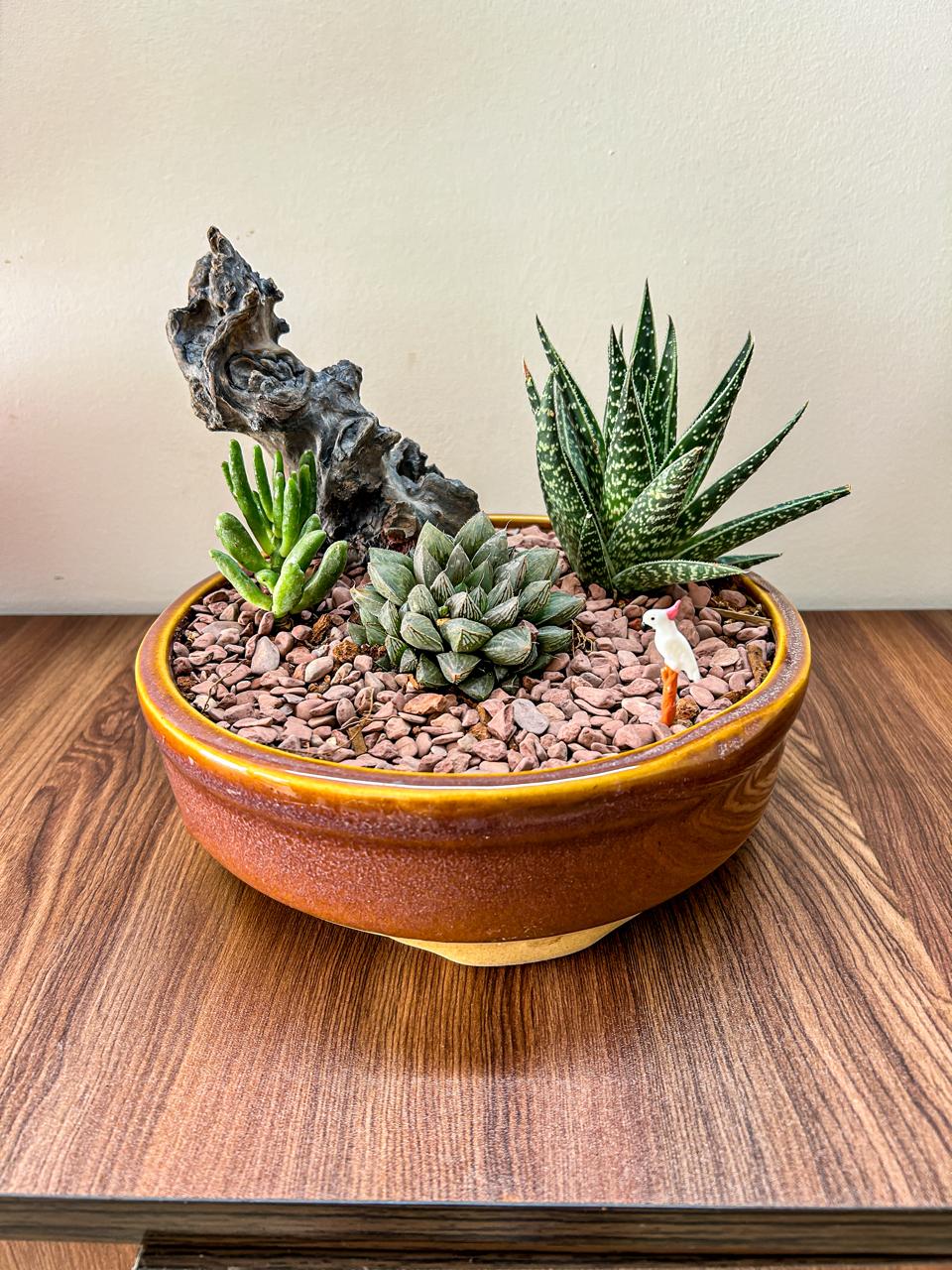 Stoned Succulent Garden