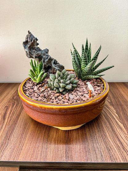 Stoned Succulent Garden